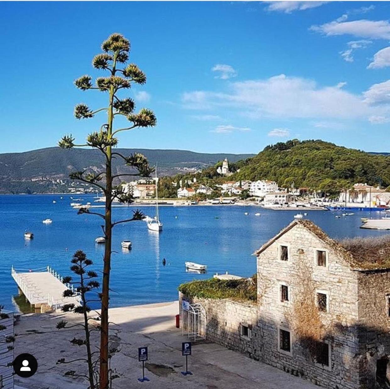 Hotel Zvezda Meljine Herceg Novi Zewnętrze zdjęcie